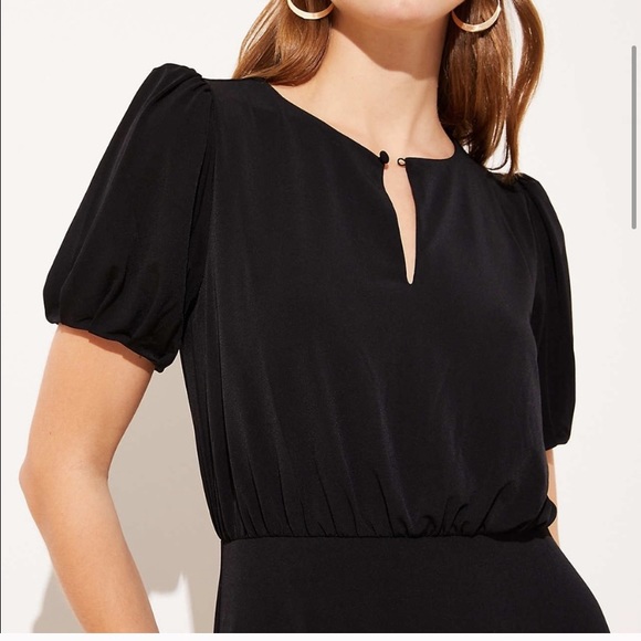 LOFT ✨✨NWTs✨✨Flounce Flair Dress - Picture 3 of 10